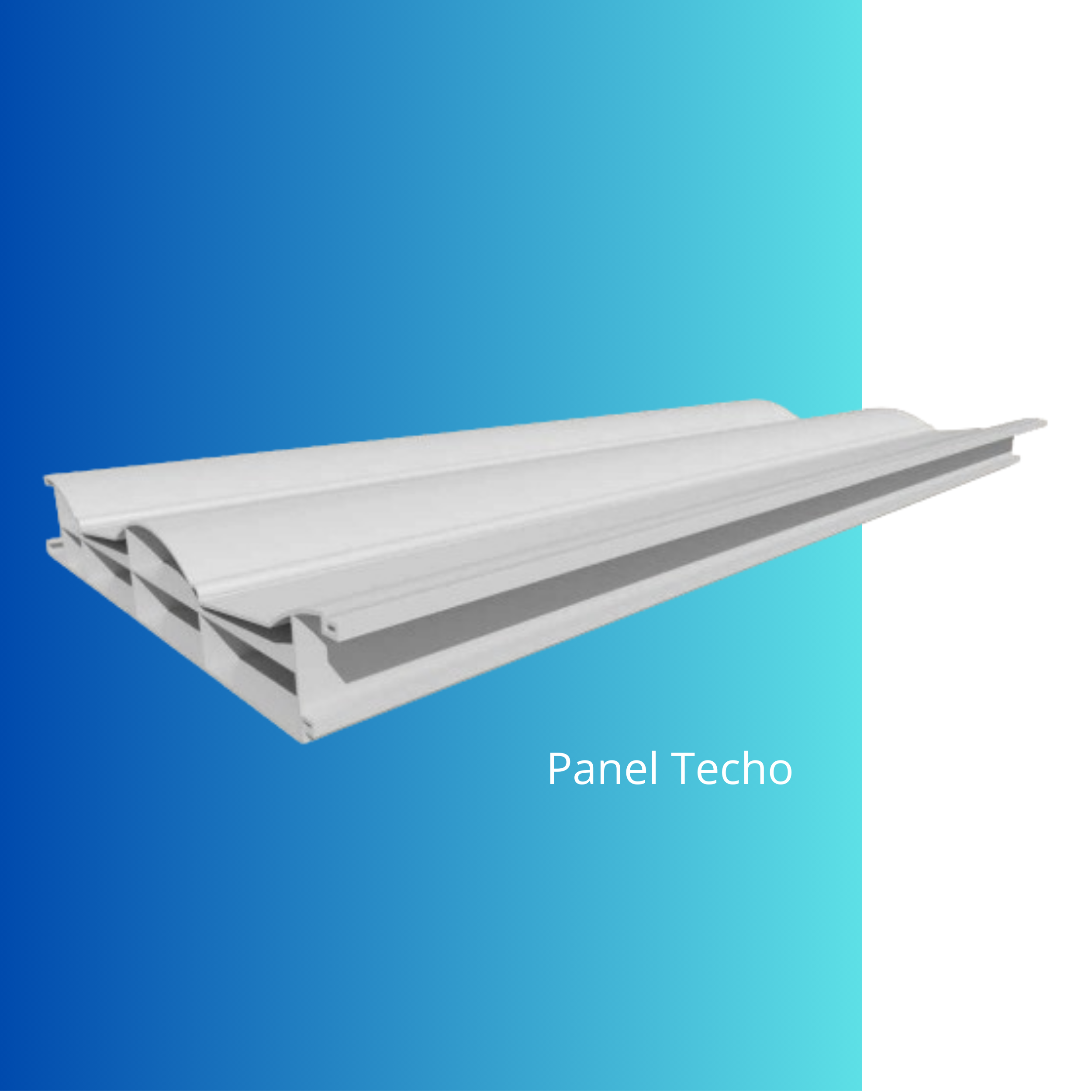 Panel Techo